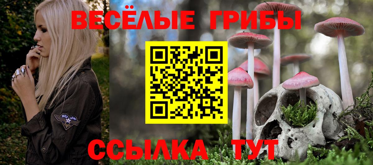 Псилоцибиновые грибы Psilocybe Урай