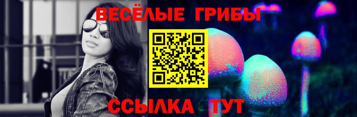 Псилоцибиновые грибы Cubensis  Вход с VPN  наркотики  Галлюциногенные грибы Cubensis  Урай 